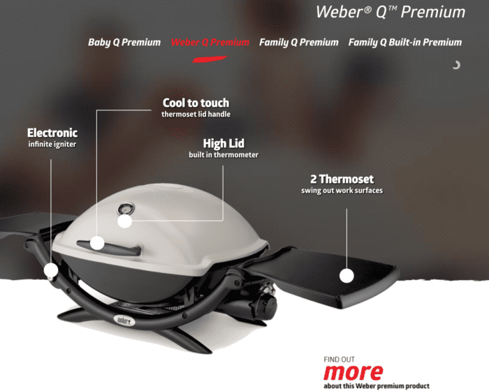 Weber Q Q2200